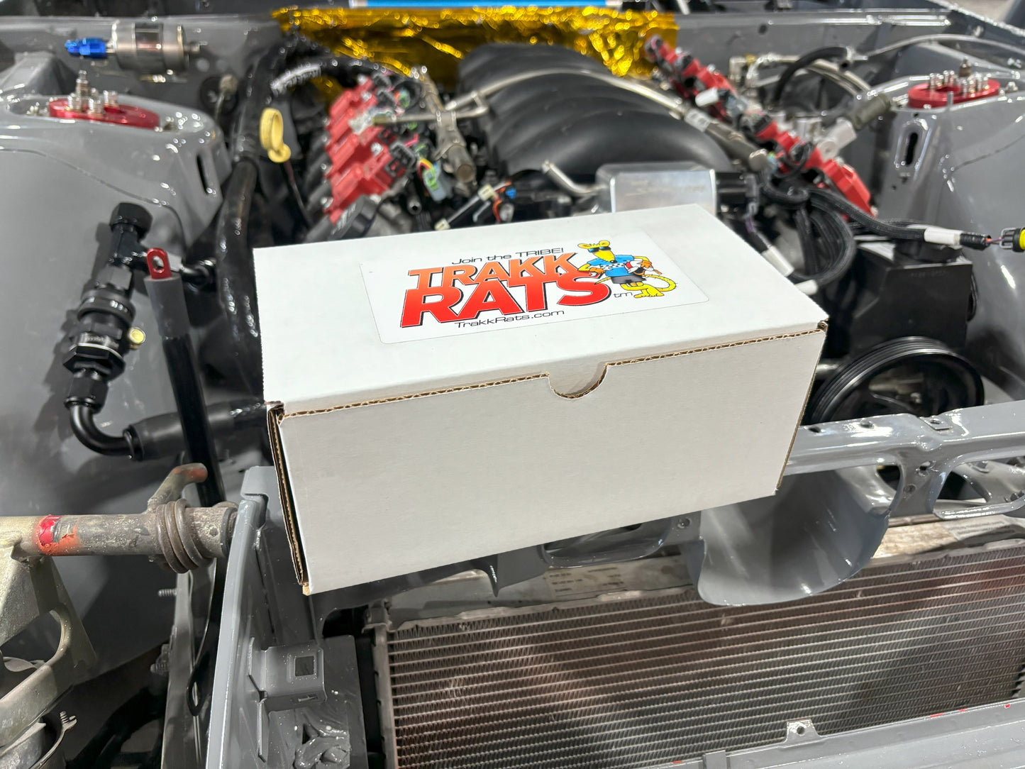 "Perfect 10" Disposable Mechanic's Gloves